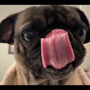 Meet your Posher, Mia